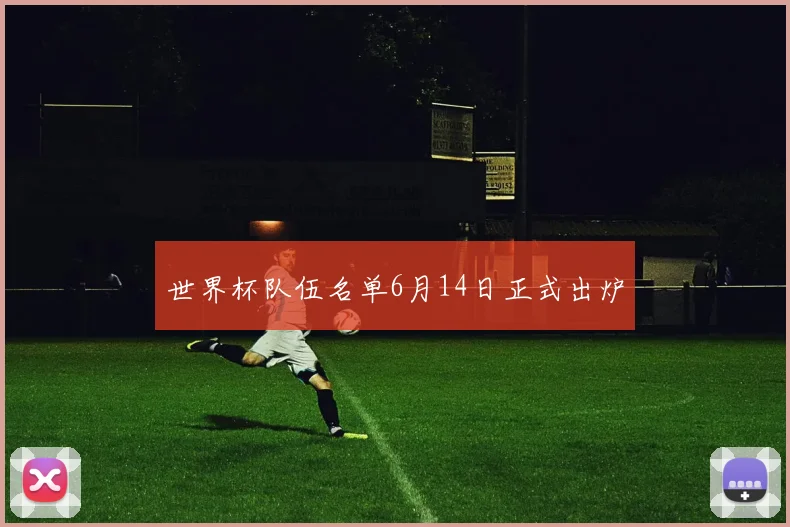 世界杯队伍名单6月14日正式出炉