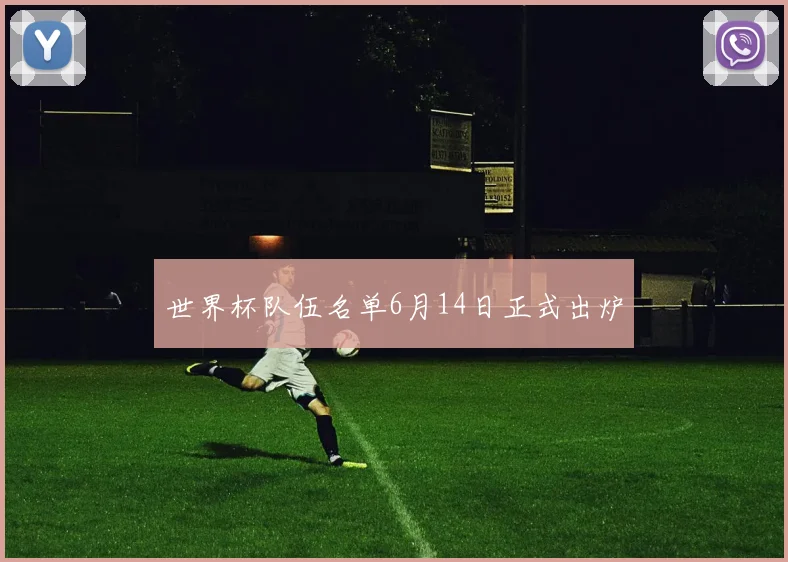 世界杯队伍名单6月14日正式出炉
