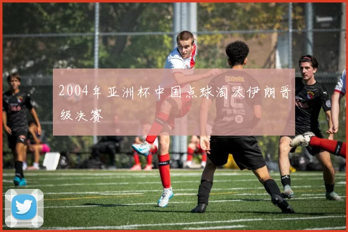 2004年亚洲杯中国点球淘汰伊朗晋级决赛