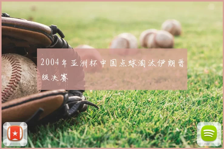 2004年亚洲杯中国点球淘汰伊朗晋级决赛